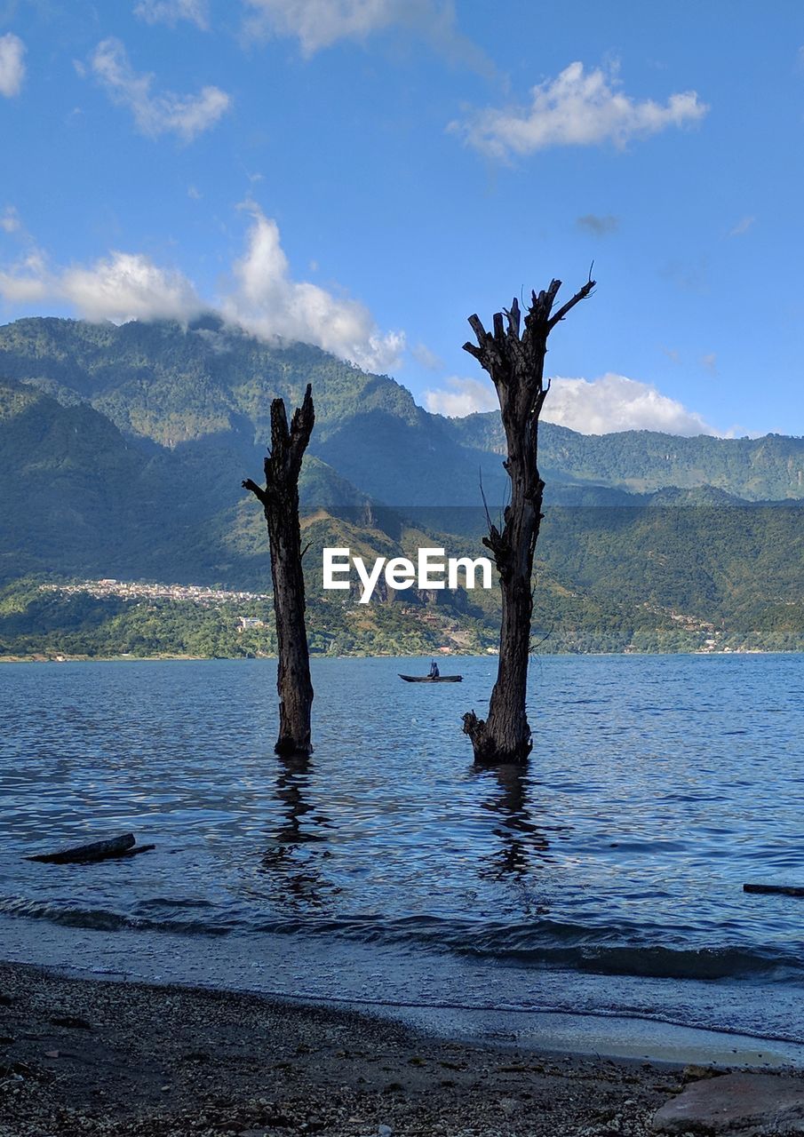 BARE TREE ON LAKE AGAINST MOUNTAIN RANGE