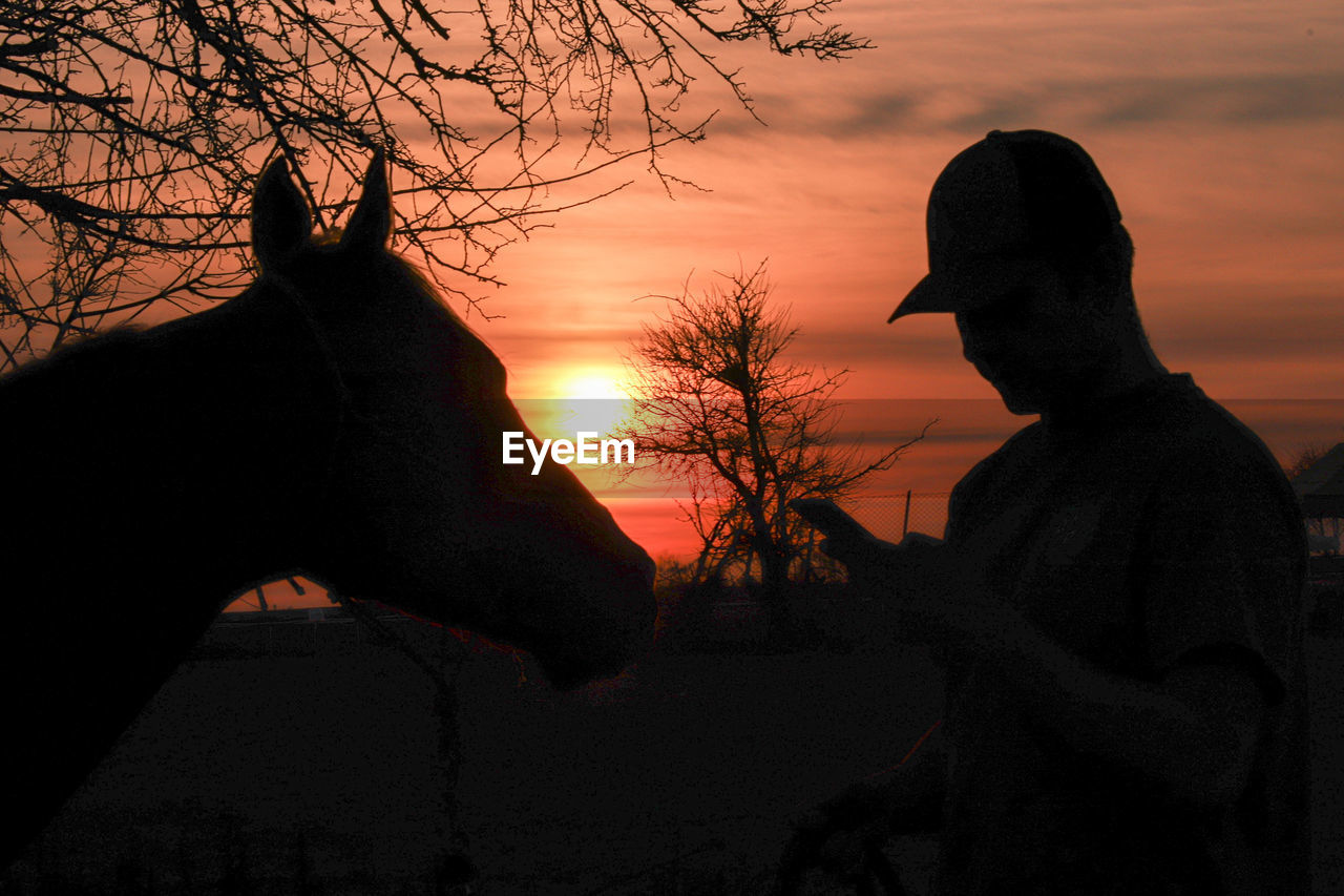 rear view of silhouette woman standing on field