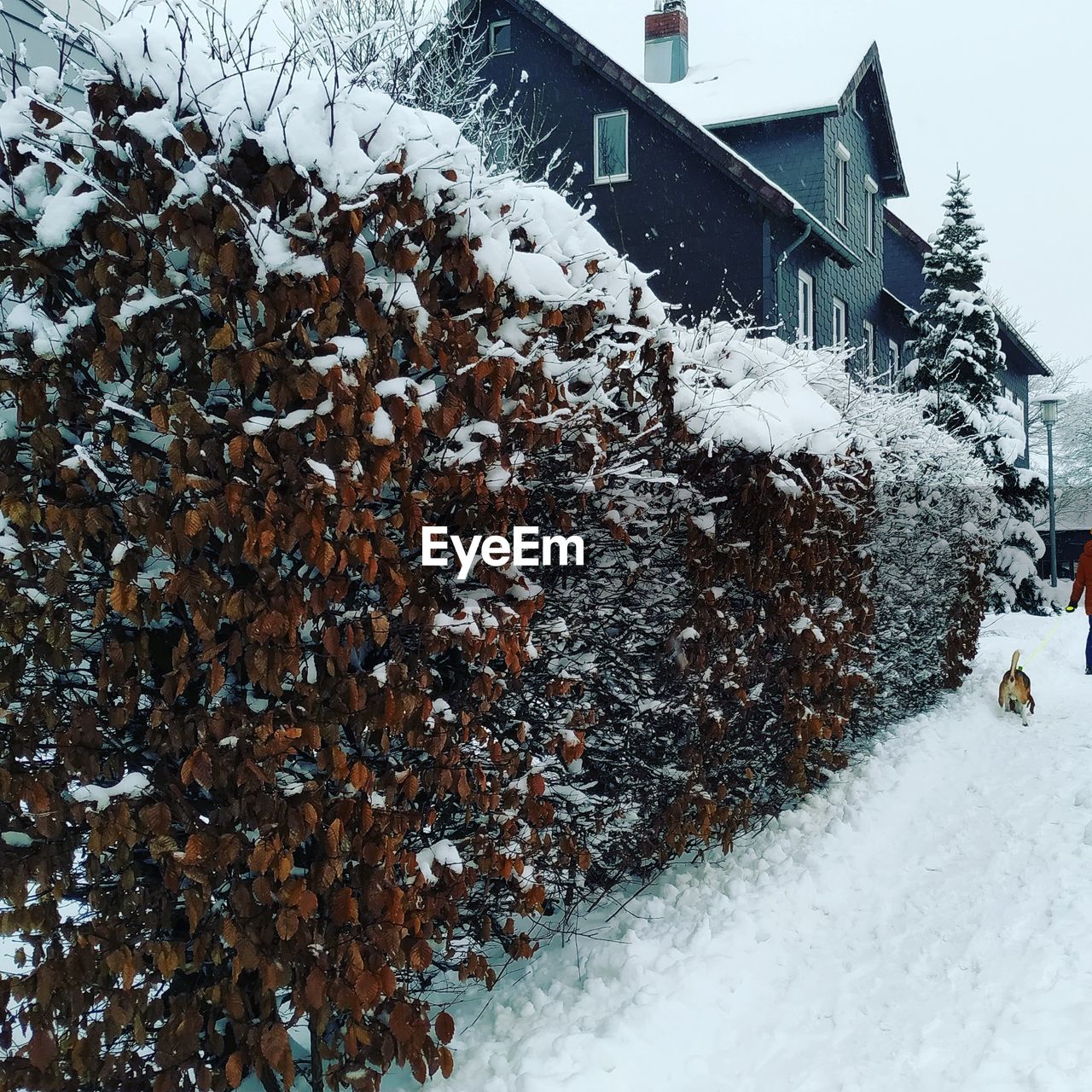 SNOW COVERED HOUSE SEEN THROUGH WINDOW