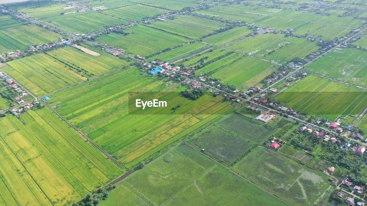 landscape, field, agriculture, environment, plain, rural scene, bird's-eye view, land, aerial view, aerial photography, green, farm, scenics - nature, residential area, nature, high angle view, growth, patchwork landscape, plant, beauty in nature, tranquil scene, day, no people, polder, outdoors, crop, tranquility, suburb, cultivated land, race track, architecture, idyllic, grass, paddy field, pattern