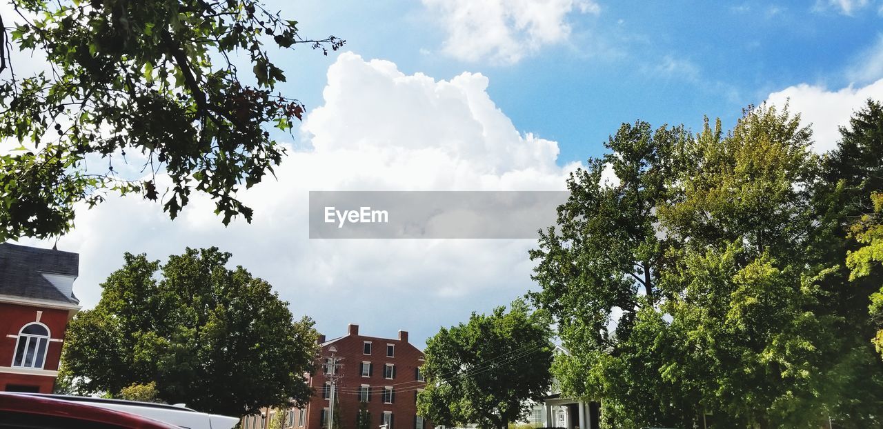 Low angle view of trees and buildings against sky