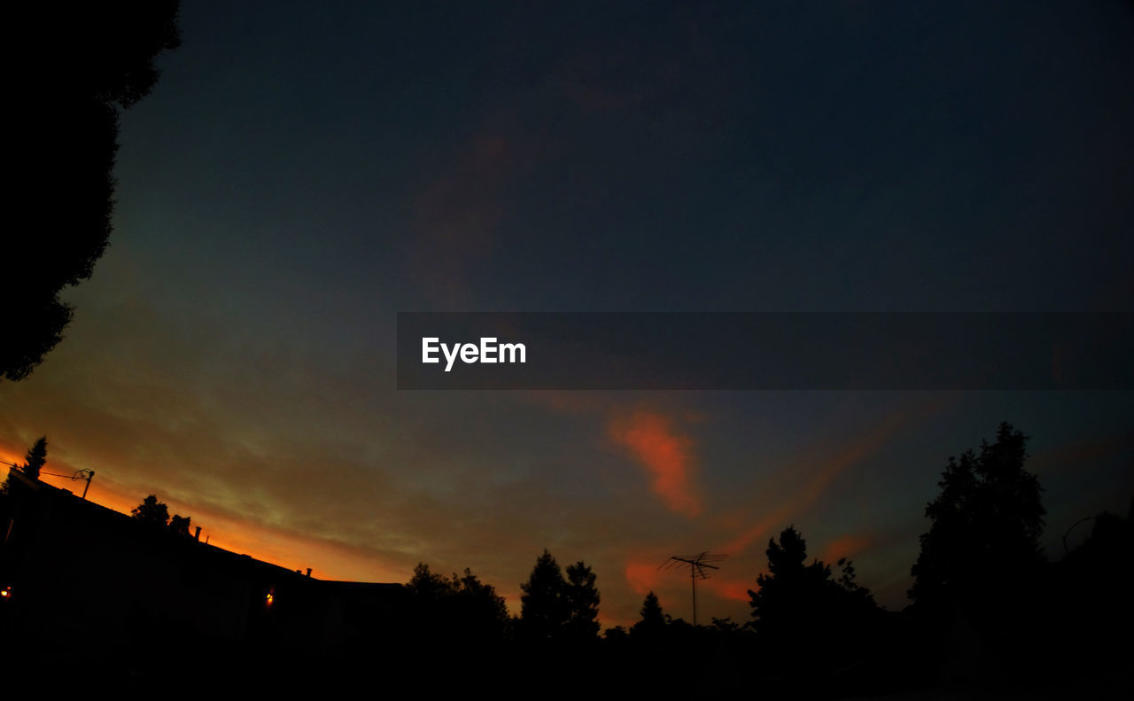 Silhouette of trees at dusk