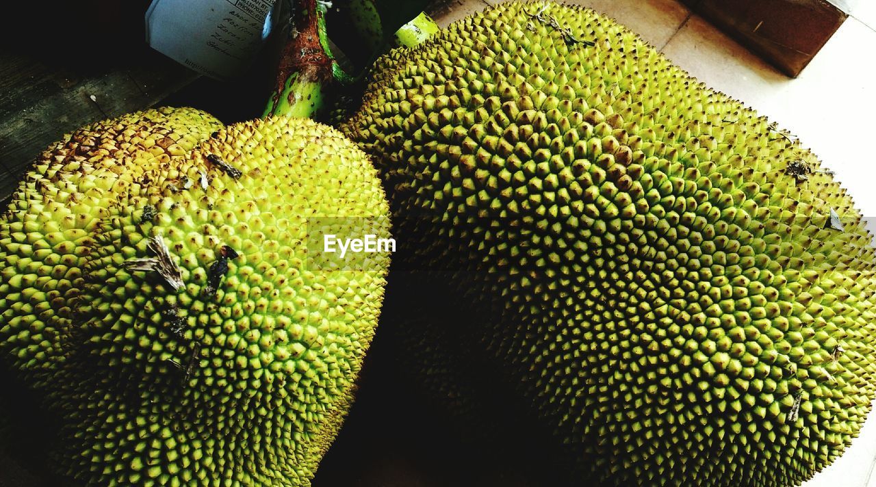 HIGH ANGLE VIEW OF GREEN FRUIT