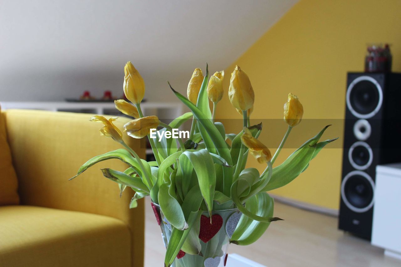 Close-up of flower vase by sofa at home