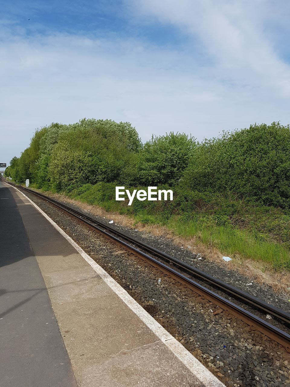 RAILROAD TRACK BY TREES AGAINST SKY