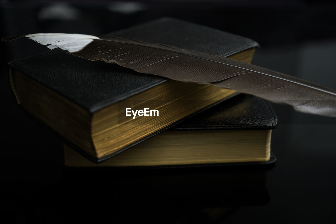 Close-up of feather on stacked books at table