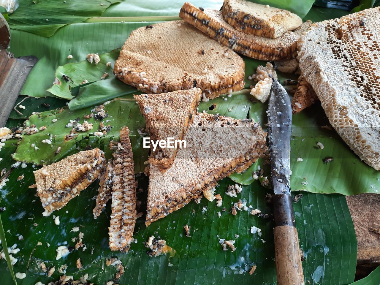 food, food and drink, freshness, healthy eating, bread, wellbeing, high angle view, wood, leaf, plant part, green, no people, produce, dish, slice, table, indoors, still life, nature, plant, cutting board, vegetable