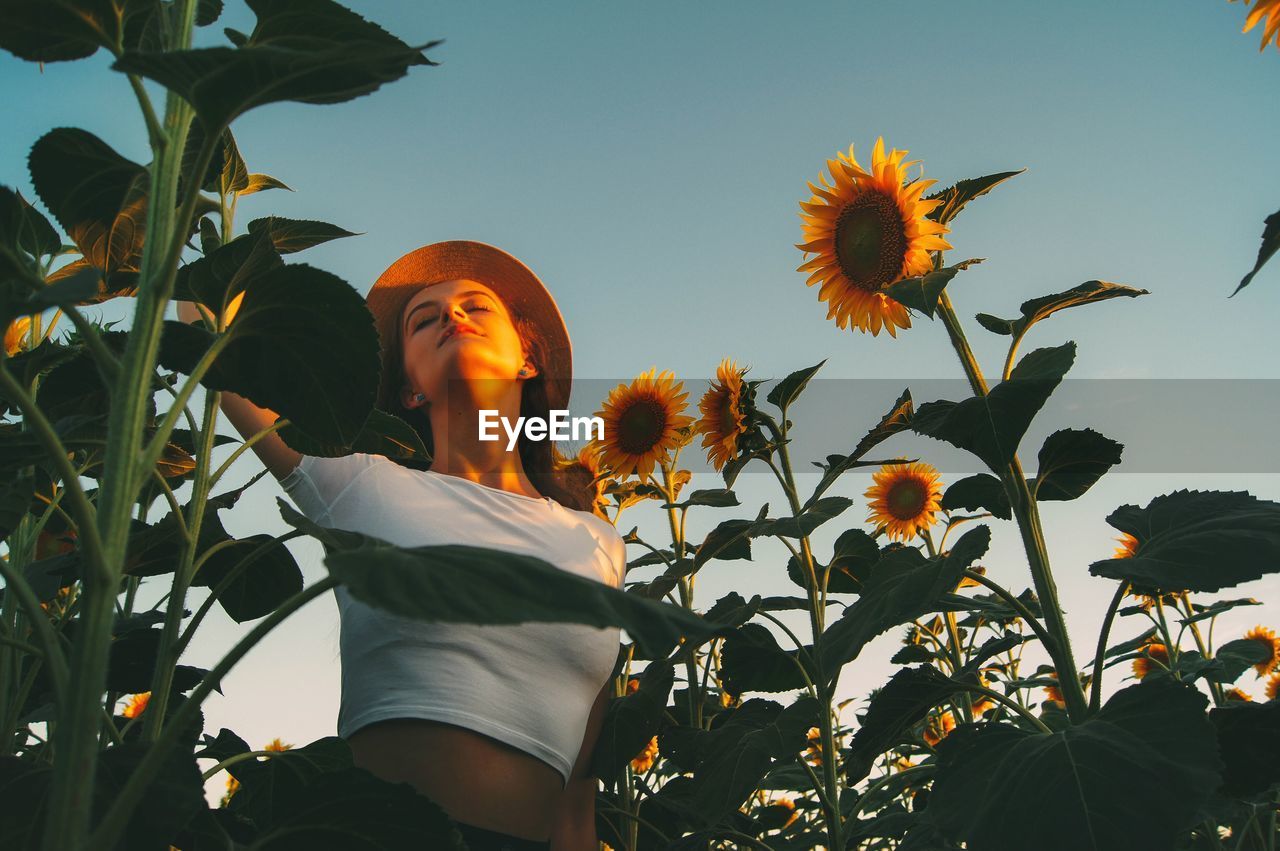 Low angle view of woman standing by sunflower against sky