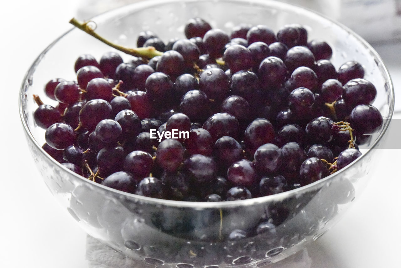 HIGH ANGLE VIEW OF BLACKBERRIES IN BOWL