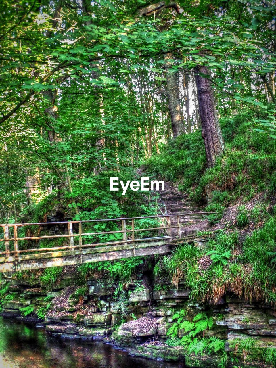 VIEW OF BRIDGE OVER RIVER