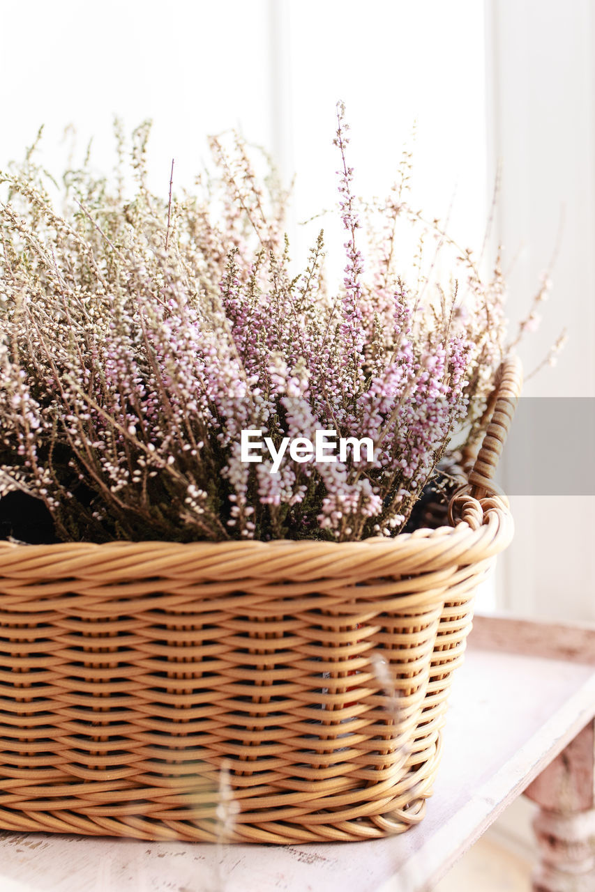 Indoor dry purple heather flowers in a wicker basket on the windowsill of the house
