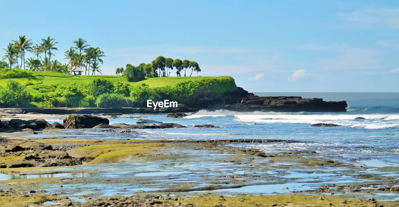 SCENIC VIEW OF SEA AND TREES AGAINST SKY