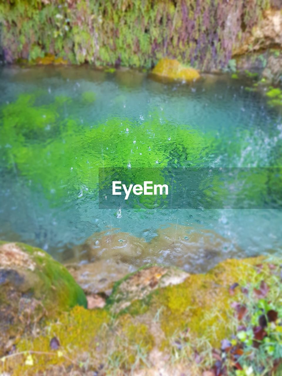 HIGH ANGLE VIEW OF LAKE