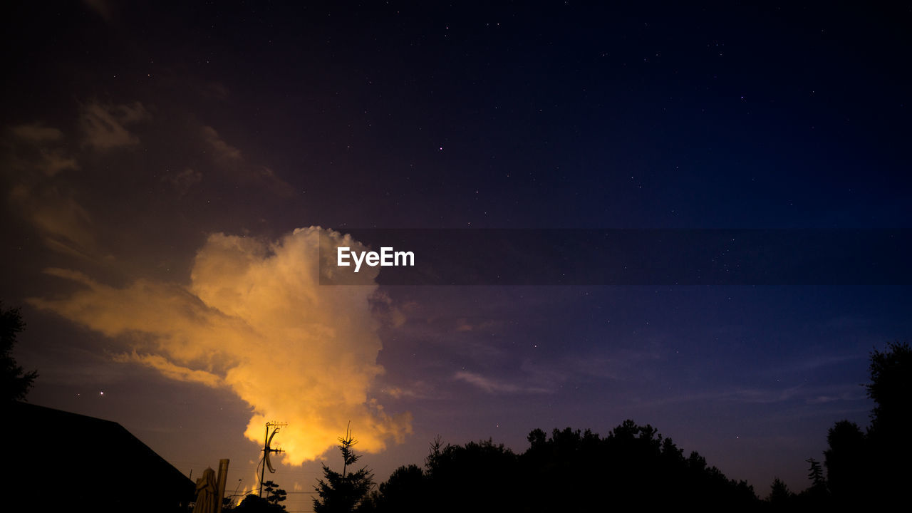 Low angle view of silhouette trees against sky at night