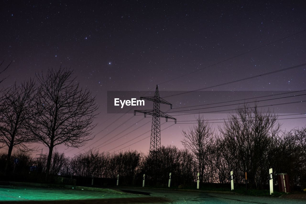 Trees against sky at night