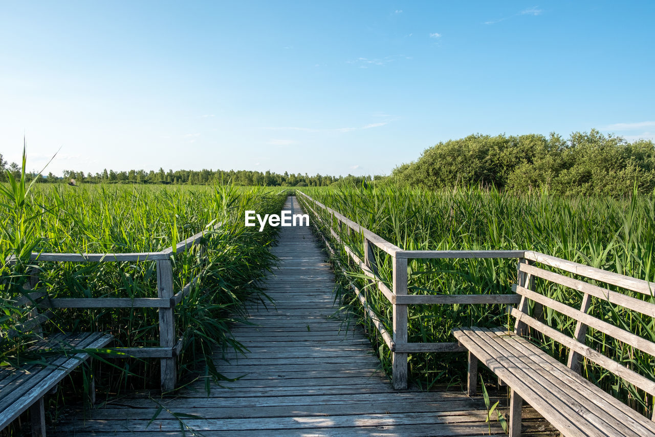 Wooden bridge on swamp against sky