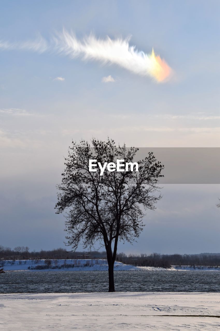 Tree on snow covered field against sky during sunset