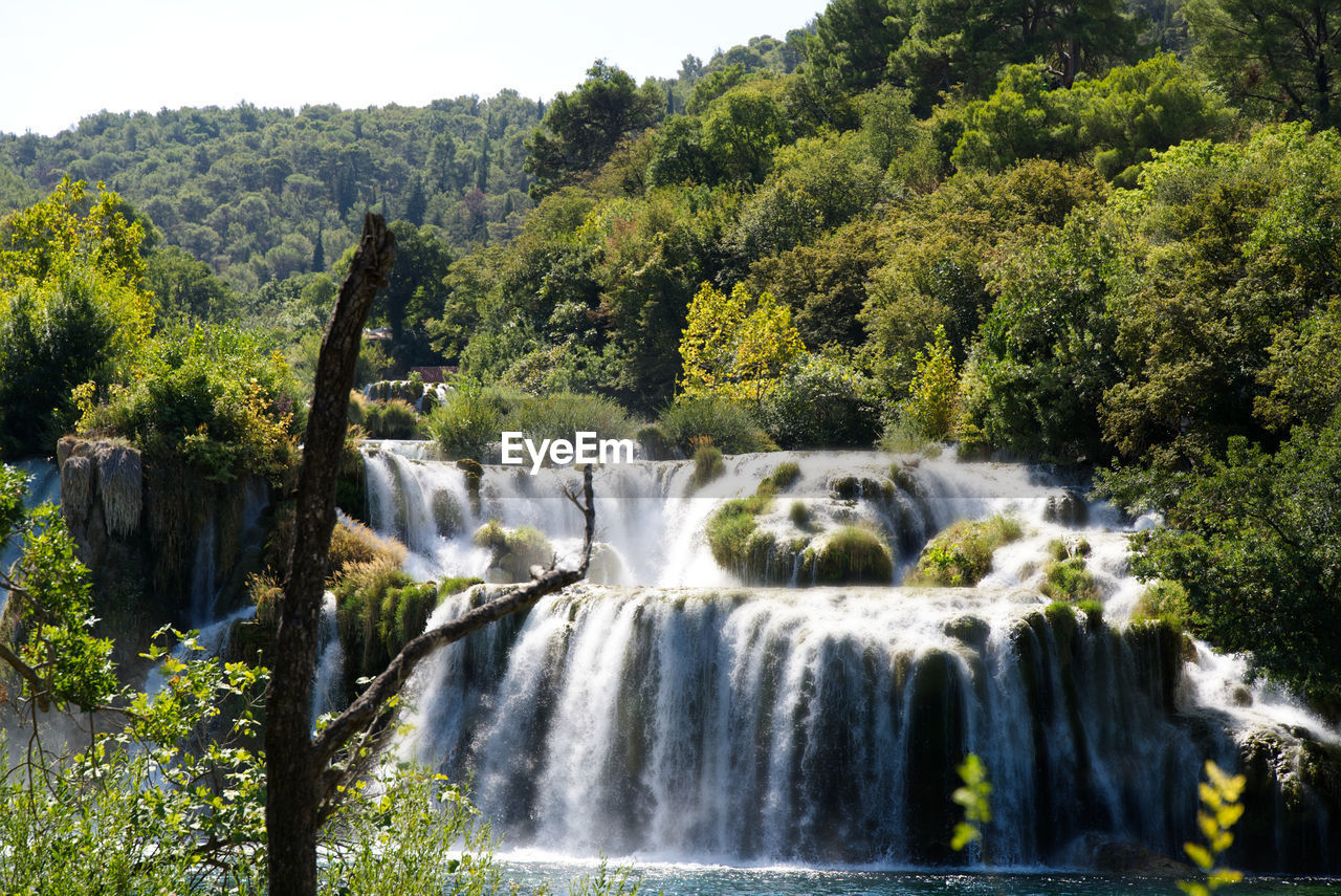 scenic view of waterfall against trees