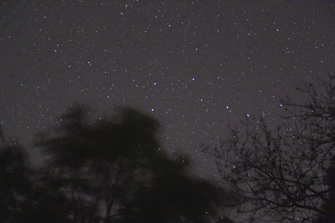 LOW ANGLE VIEW OF STARS IN SKY