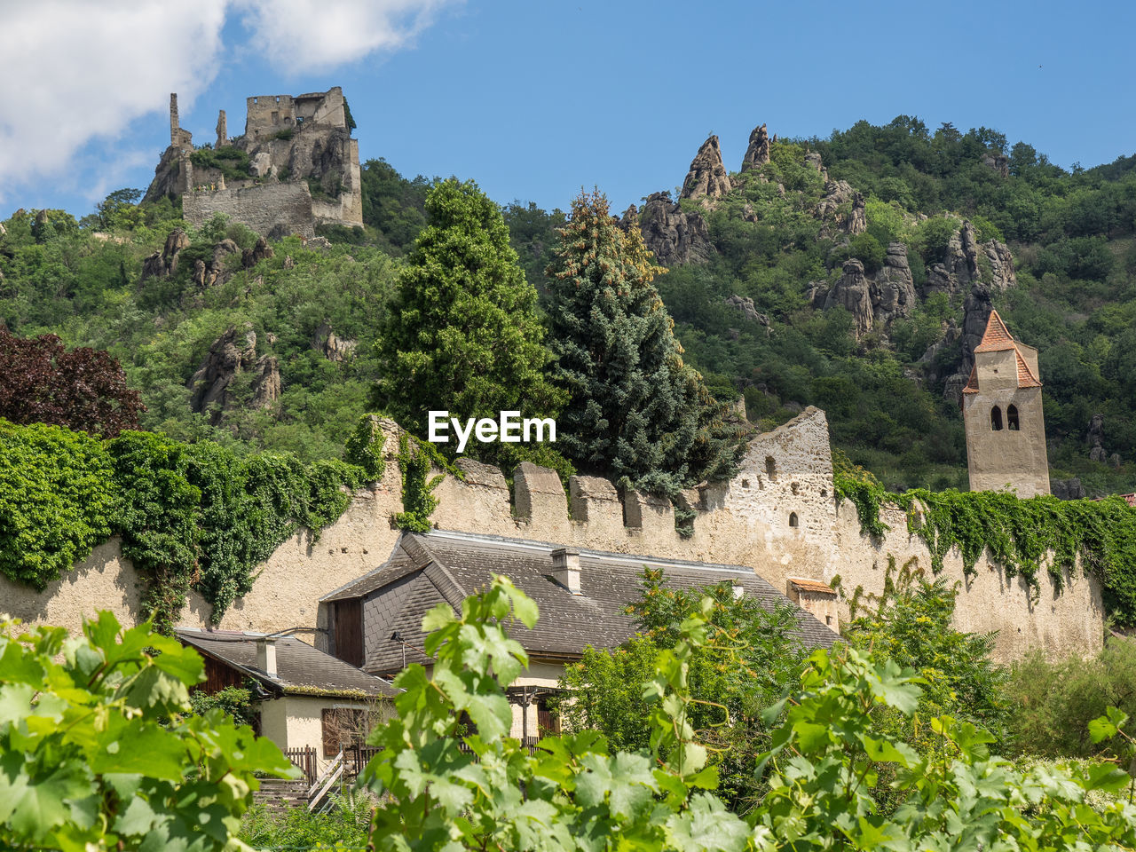 Dürnstein at the danbue river