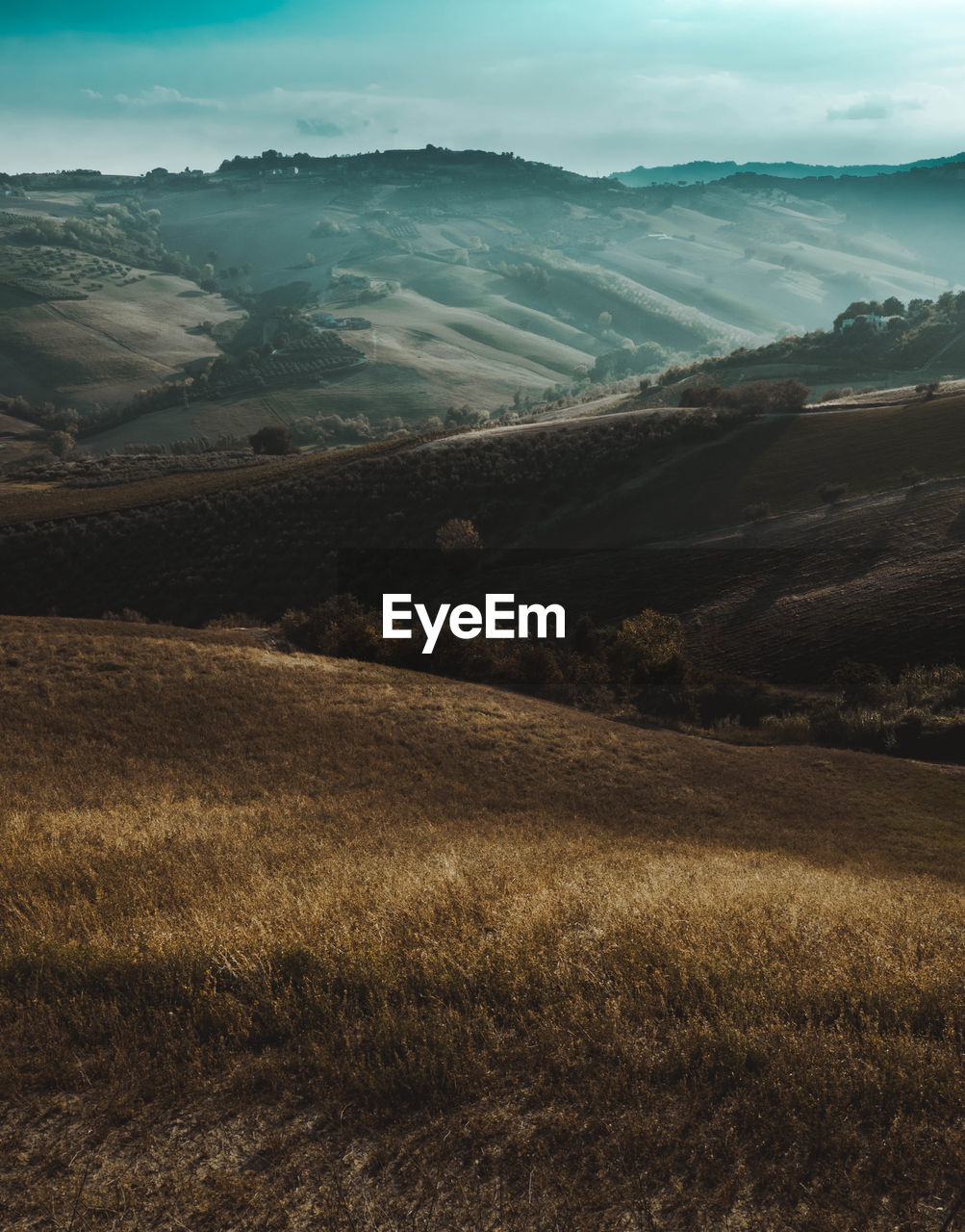 Scenic view of landscape against sky