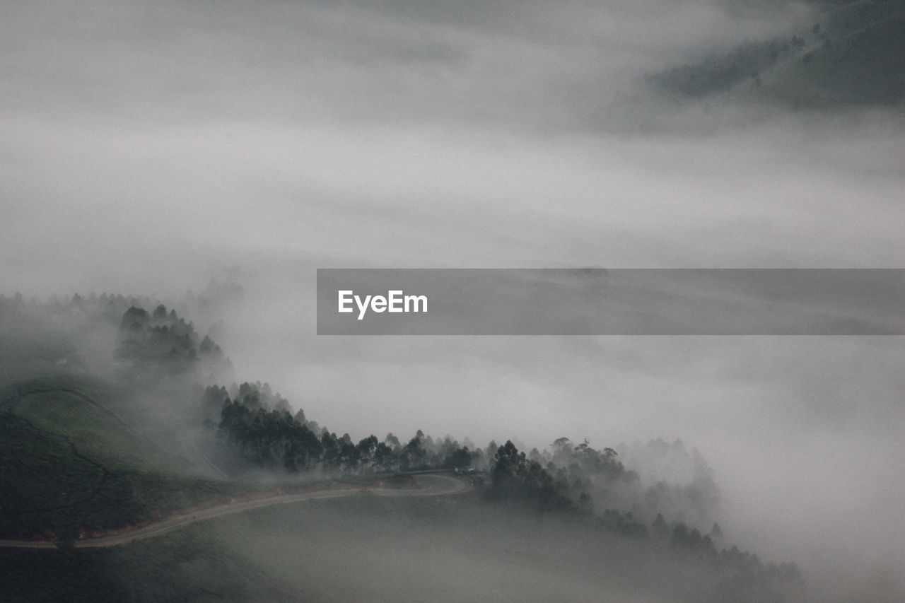 Trees on landscape against sky during foggy weather