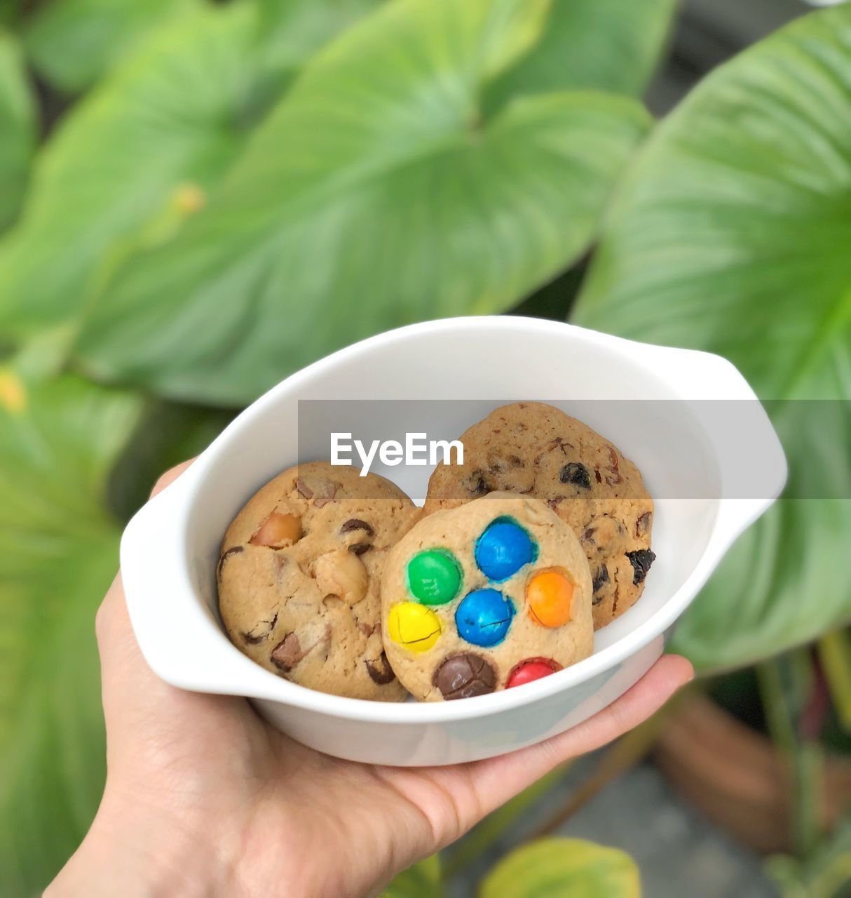 CROPPED IMAGE OF PERSON HOLDING BREAKFAST