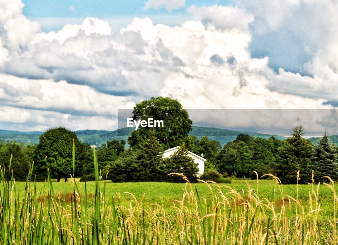 SCENIC VIEW OF FARM AGAINST SKY