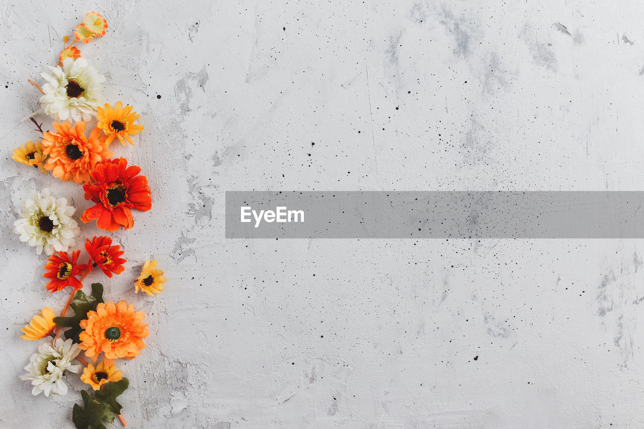 Grey concrete flat lay background with colorful autumn flower heads