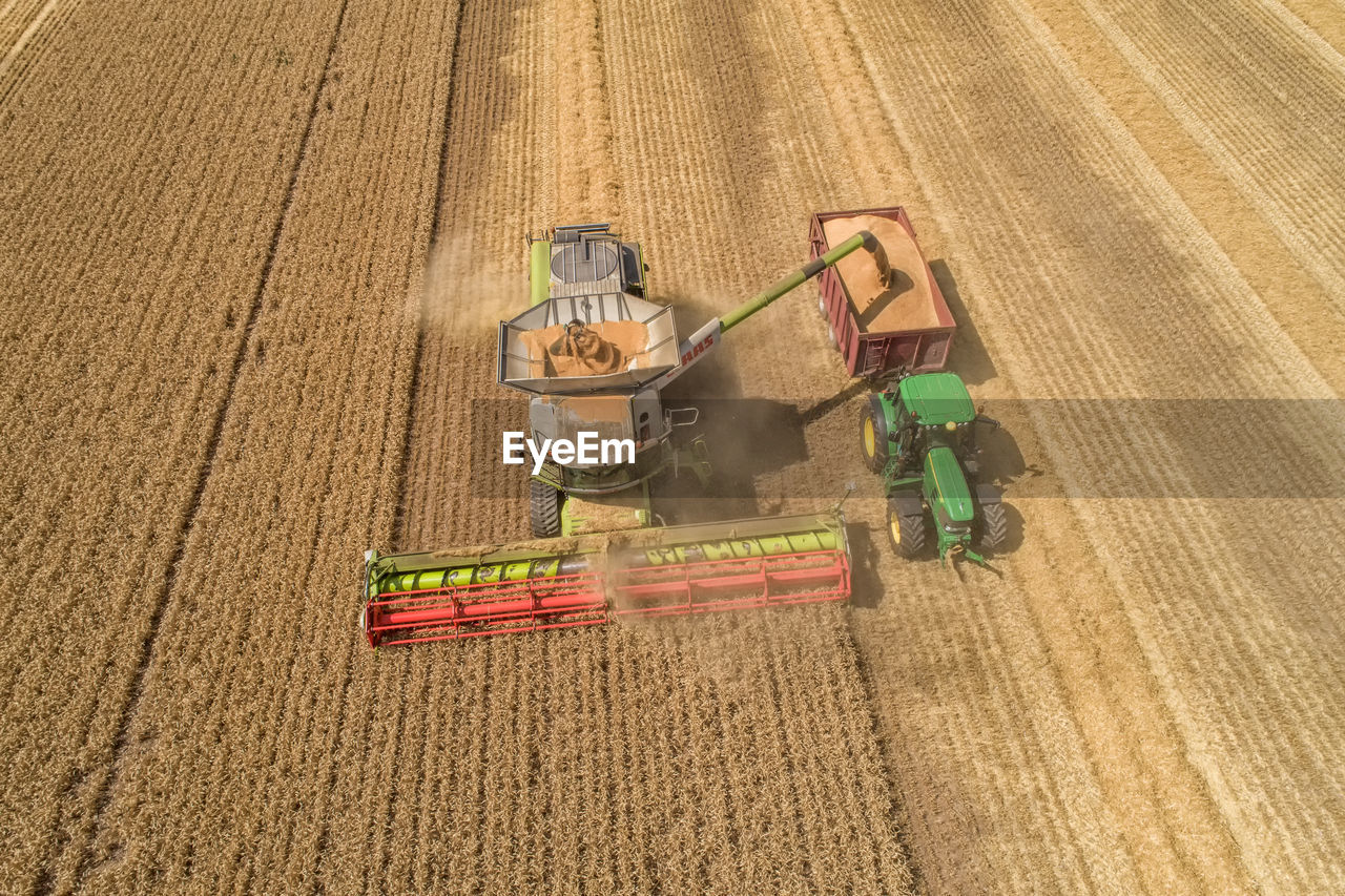 Harvest time, combine harvester