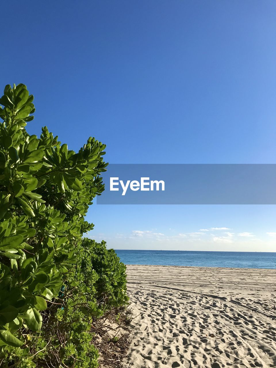 Scenic view of beach against blue sky