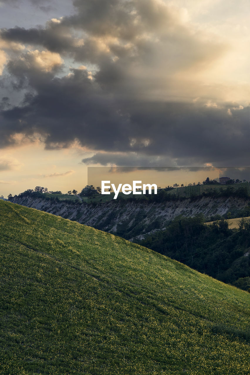 Scenic view of field against sky during sunset