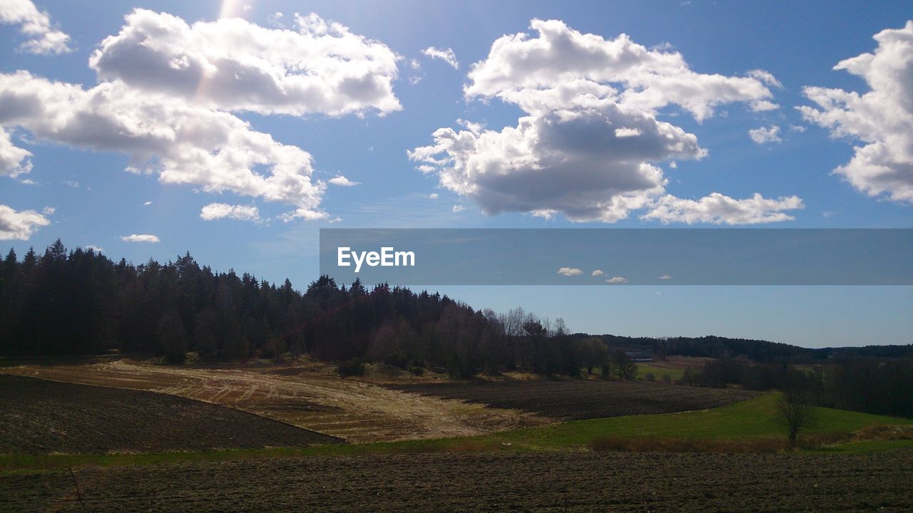 TREES ON FIELD AGAINST CLOUDY SKY