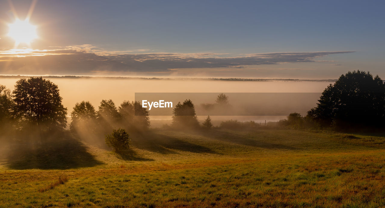 Sunrise in the biebrza national park. foggy morning. the sun is shining through the fog. podlaskie