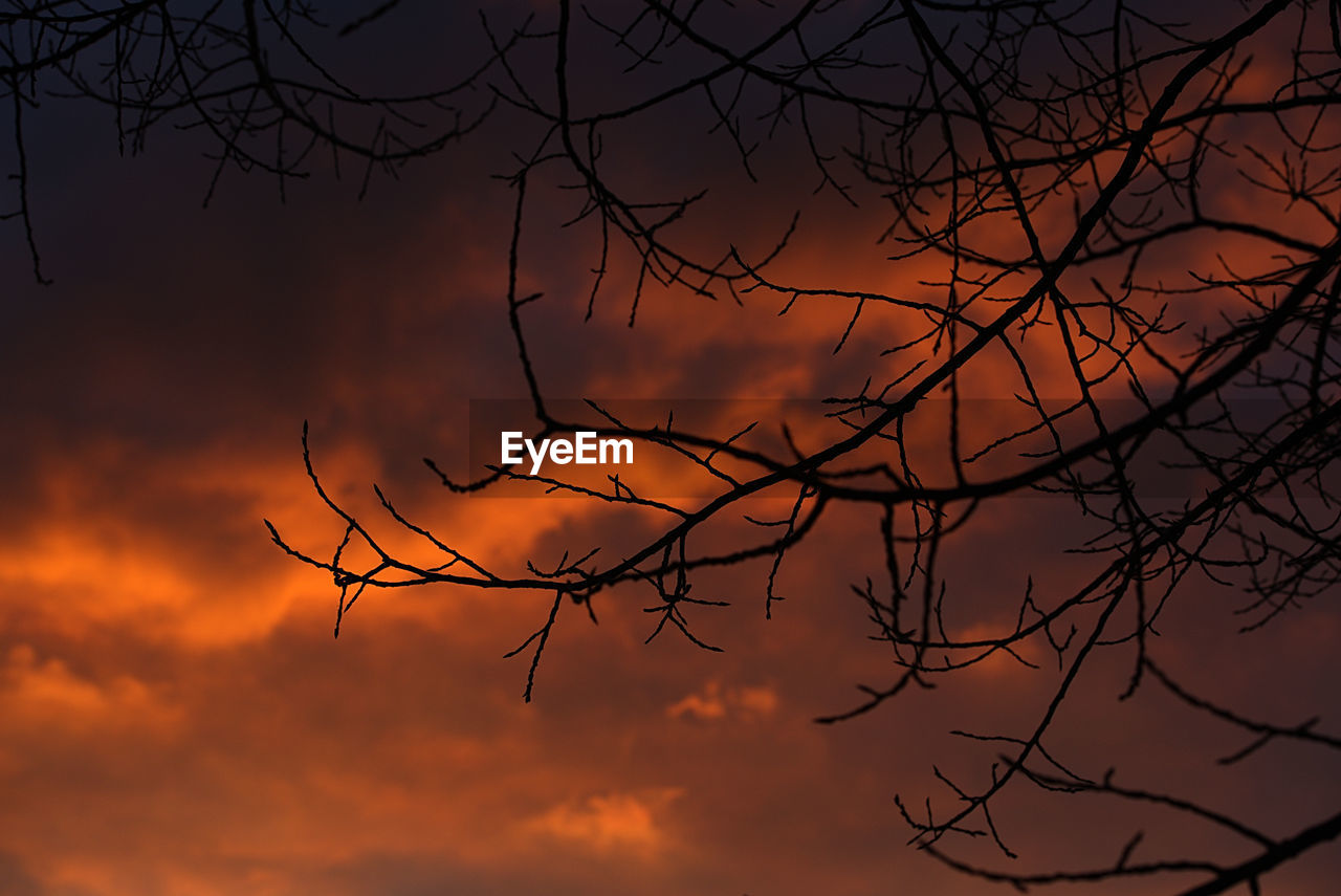 Low angle view of bare trees against sky at sunset