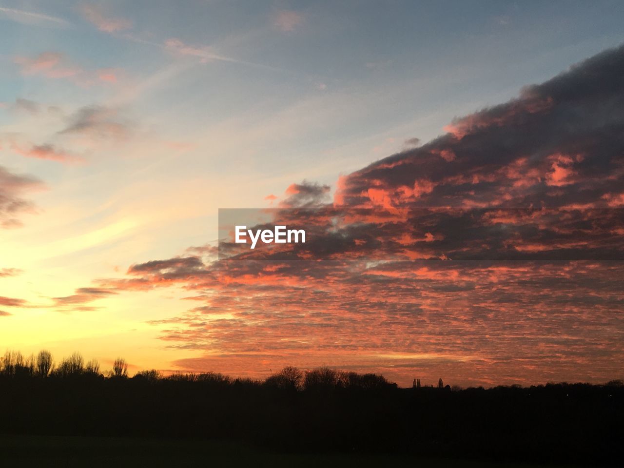 LOW ANGLE VIEW OF SILHOUETTE TREES AGAINST SUNSET SKY