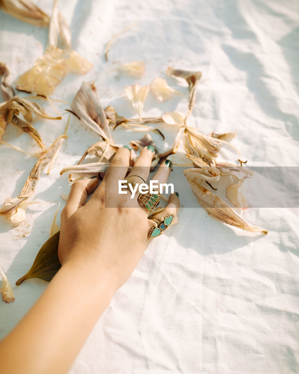 High angle view of hand with dried flowers on bed 