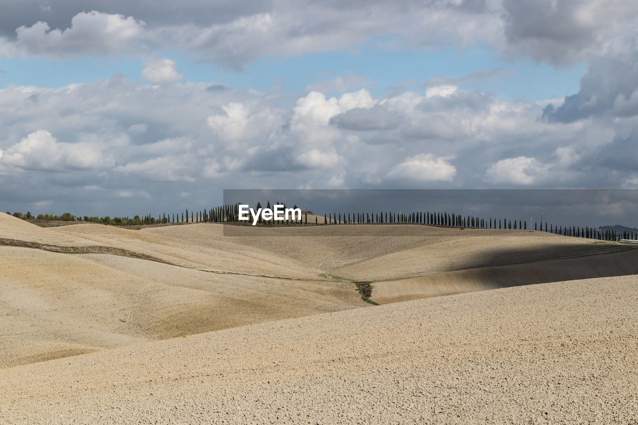 PANORAMIC VIEW OF FARM AGAINST SKY