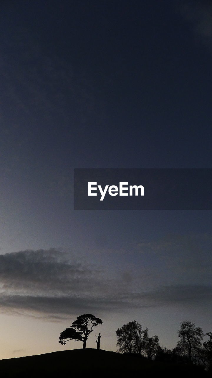 LOW ANGLE VIEW OF SILHOUETTE TREES AGAINST SKY DURING SUNSET