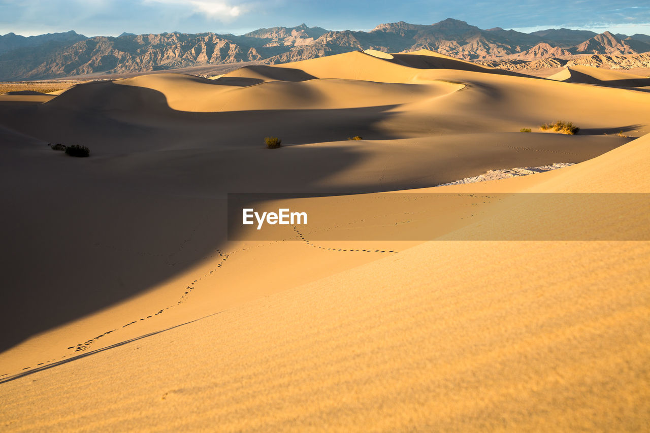 Scenic view of desert