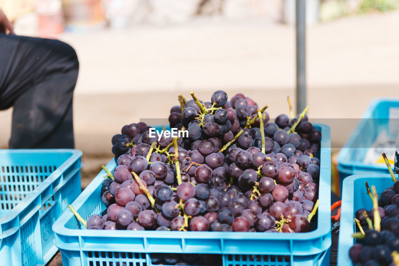 High angle view of grapes in container