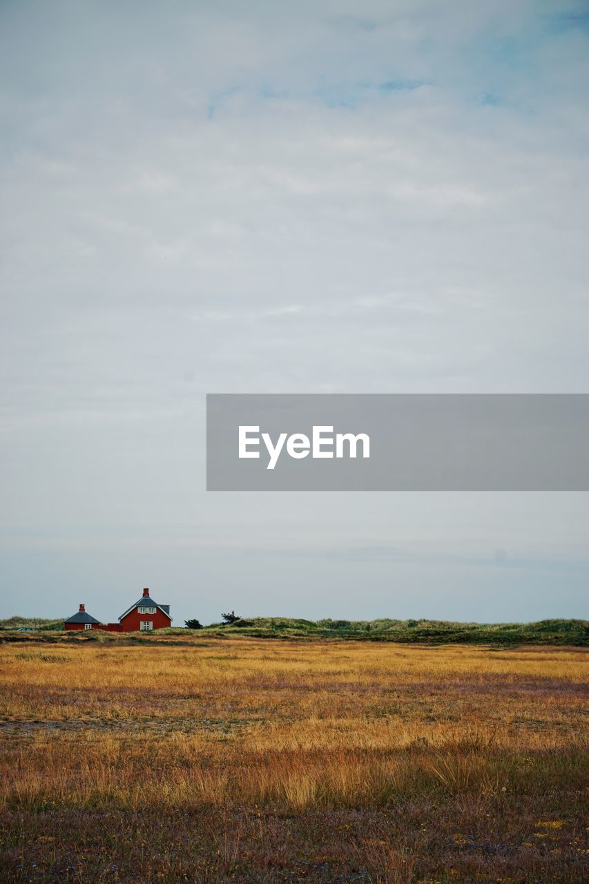 SCENIC VIEW OF RURAL LANDSCAPE