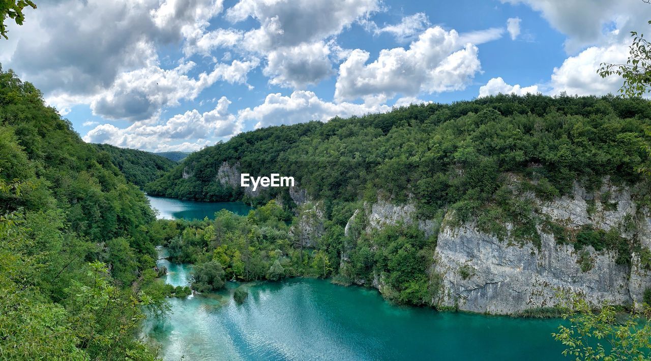 Scenic view of river amidst trees against sky