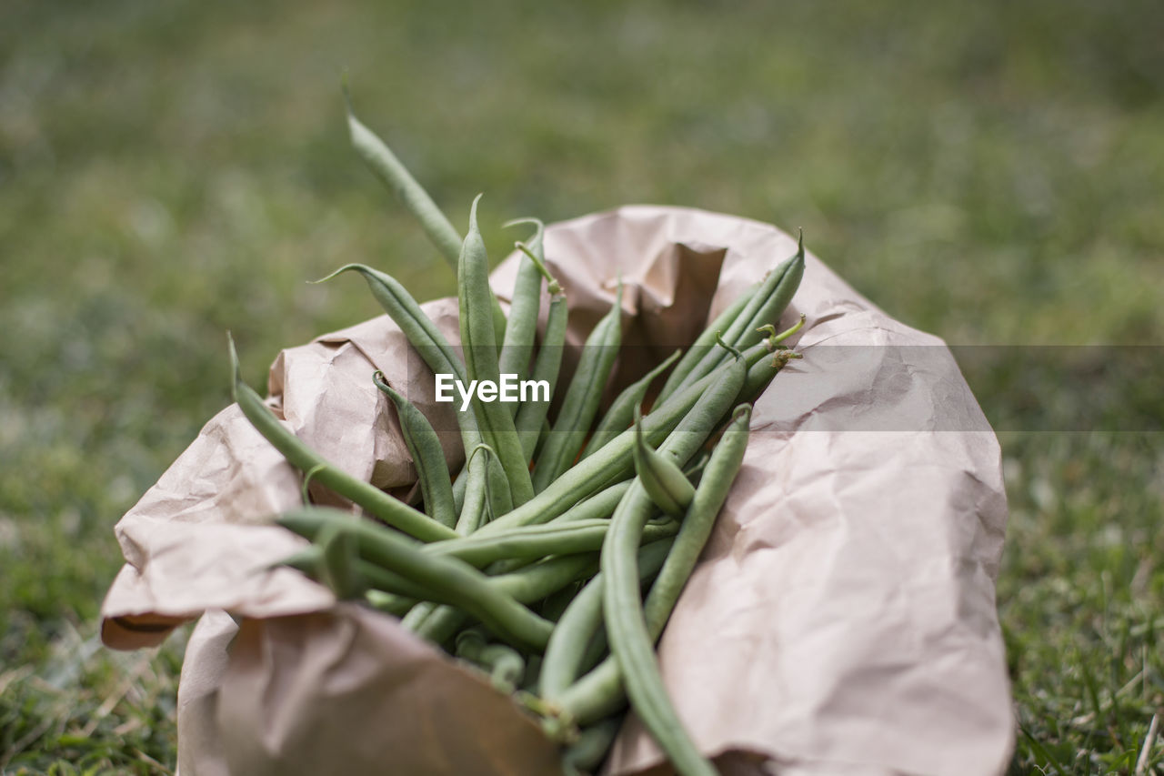 Close-up of green bean on a paper bag