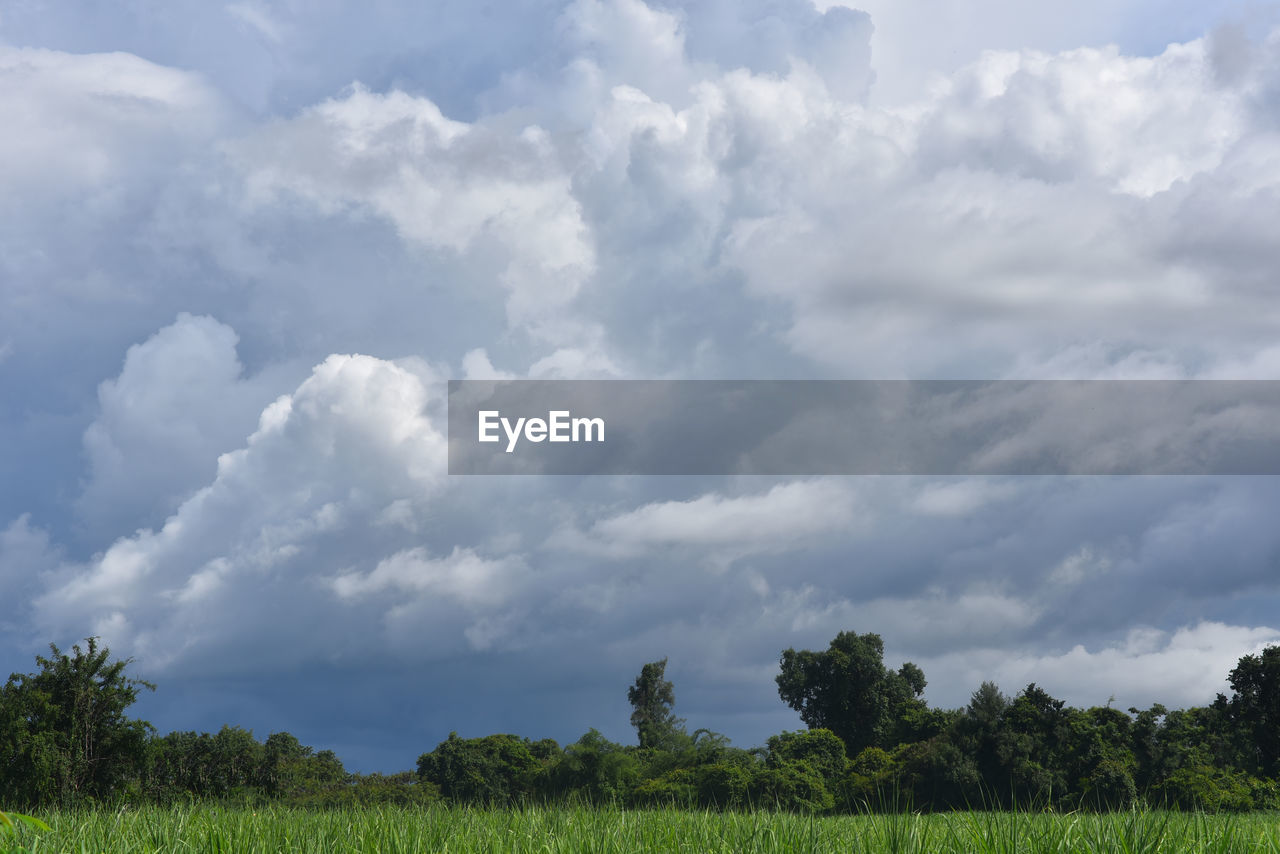 sky, cloud, plant, grassland, environment, landscape, plain, field, tree, prairie, nature, land, grass, meadow, beauty in nature, horizon, pasture, scenics - nature, green, no people, rural area, rural scene, outdoors, agriculture, natural environment, growth, day, cloudscape, tranquility, crop, food and drink, blue, food, hill, social issues, storm, storm cloud, non-urban scene, dramatic sky