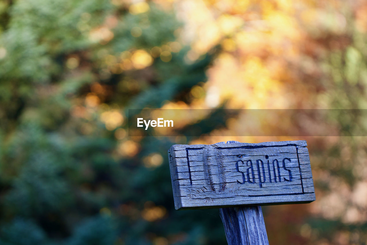 CLOSE-UP OF SIGN ON TREE TRUNK