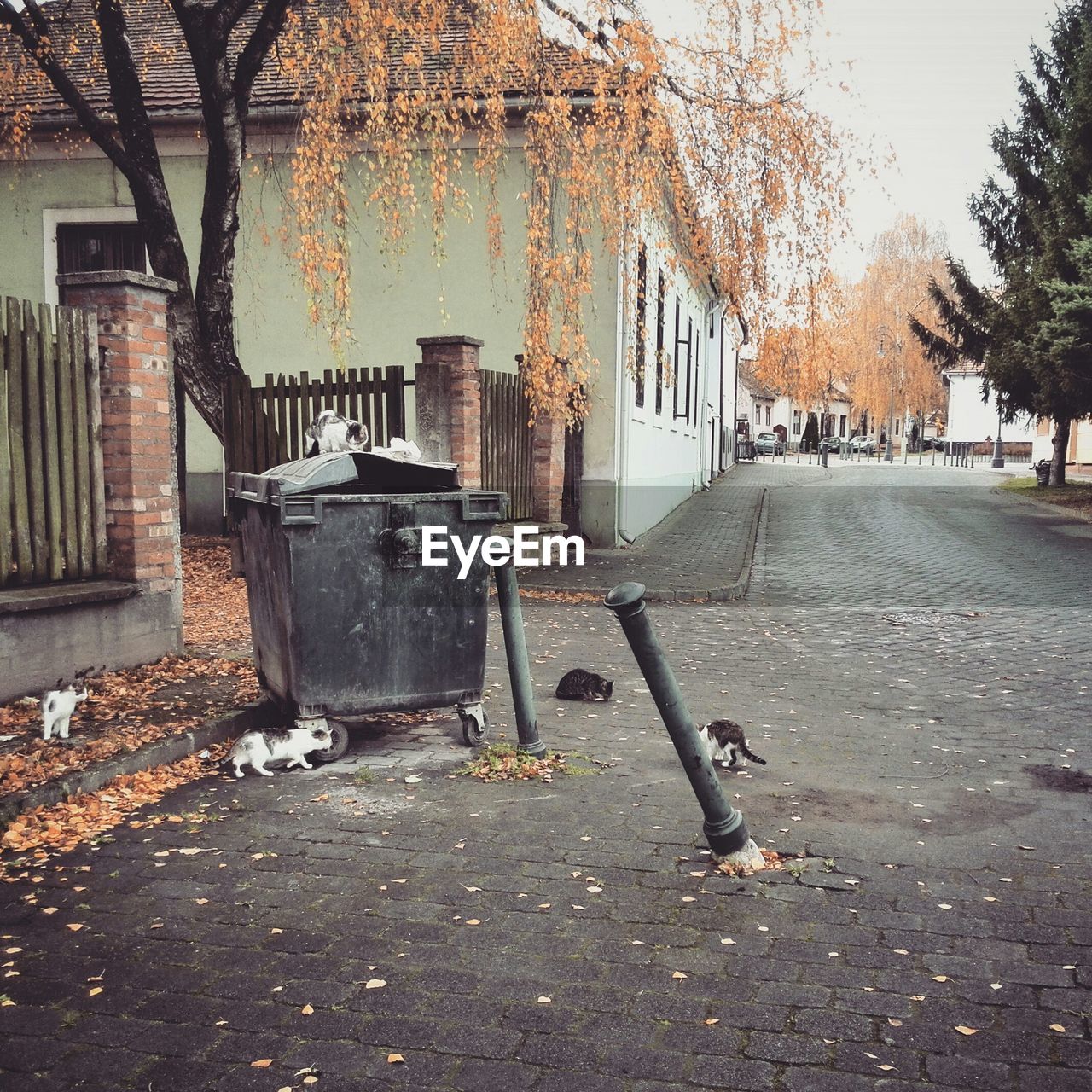 Garbage bin on street by house