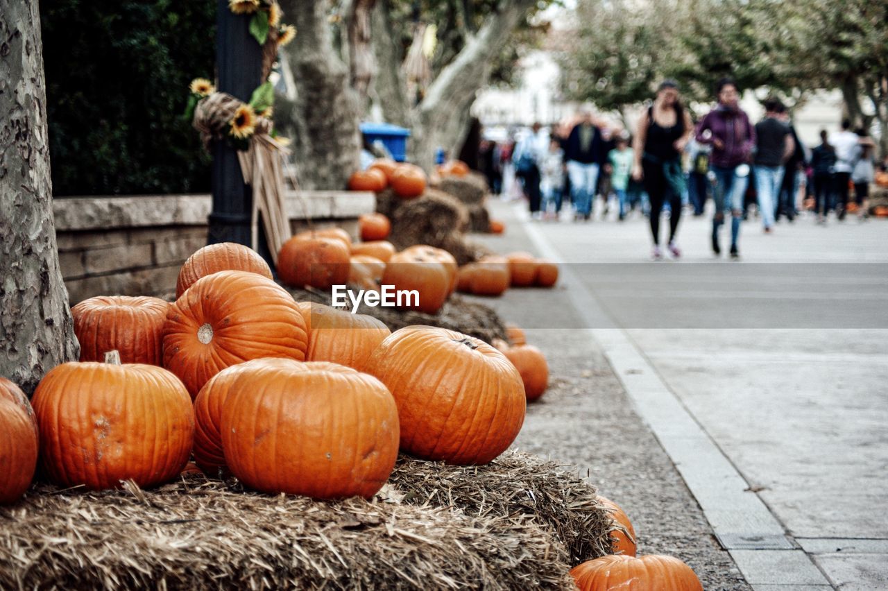 Pumpkins for sale at market stall