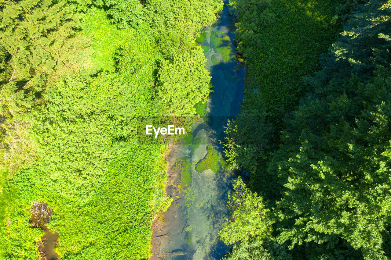 Aerial view of the crna rijeka in plitvice national park, croatia