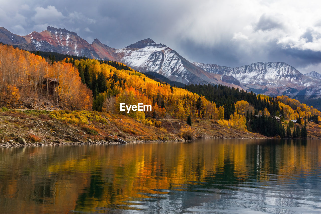 Scenic autumn landscape with aspen trees  in the san juan mountains near telluride, colorado